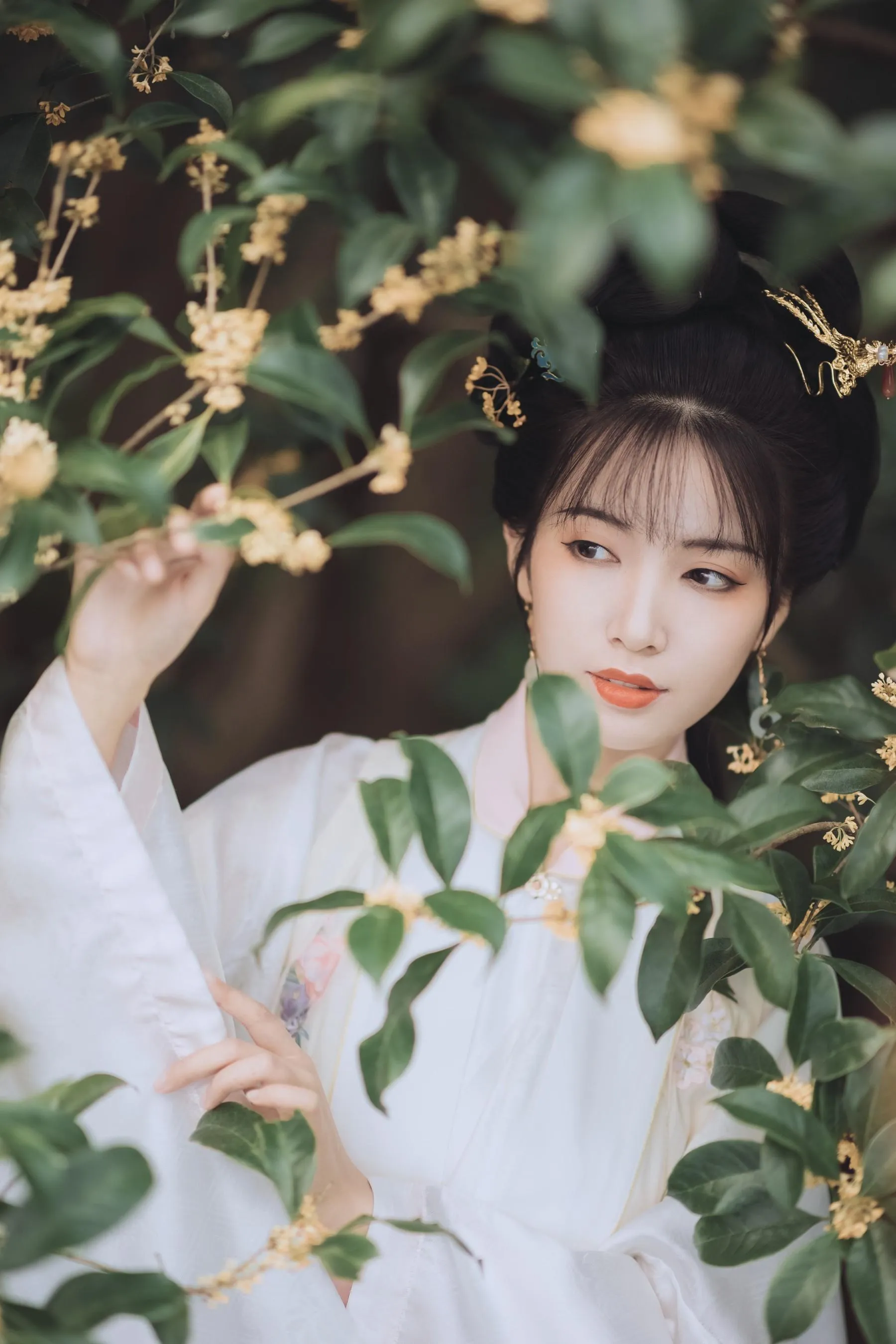 [YITUYU艺图语]2021.11.22 桂花酿 一只阿梦崽 [36P]插图5